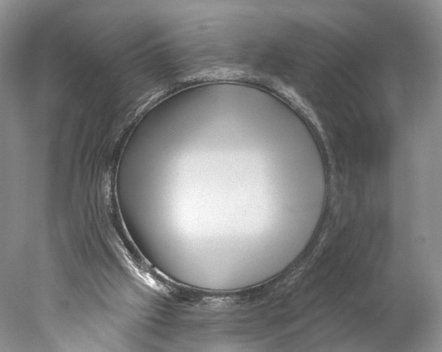 X0000077980057200611251356