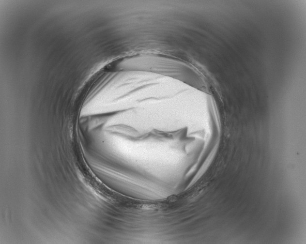 X0000077980060200611251356