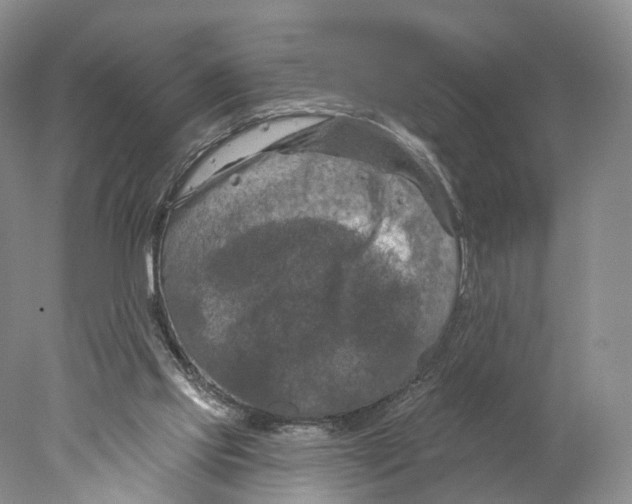 X0000077980061200611251356