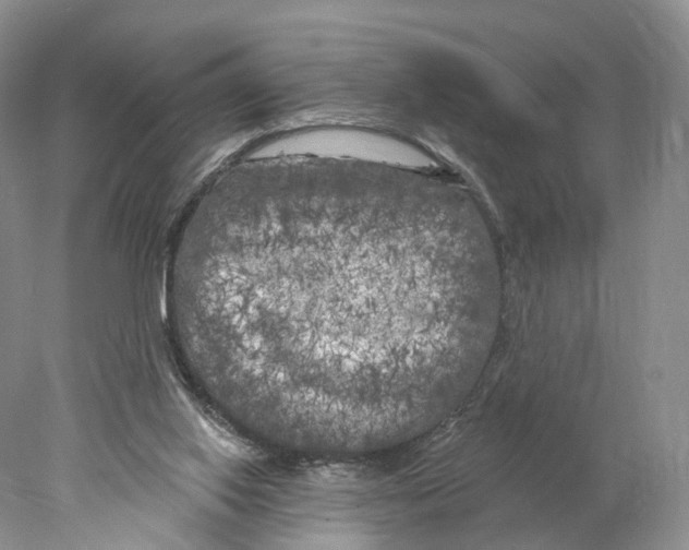 X0000077980062200611251356