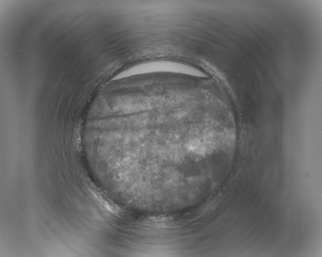 X0000077980065200611251356