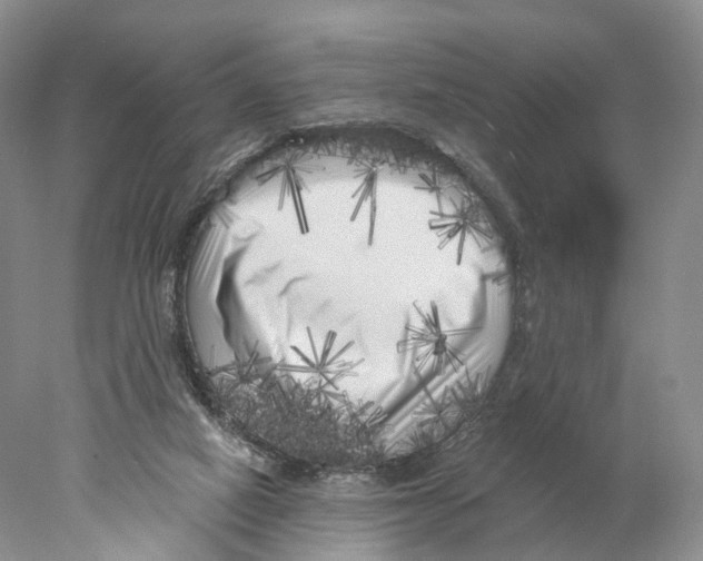 X0000077980066200611251356