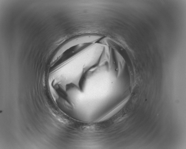 X0000077980068200611251356