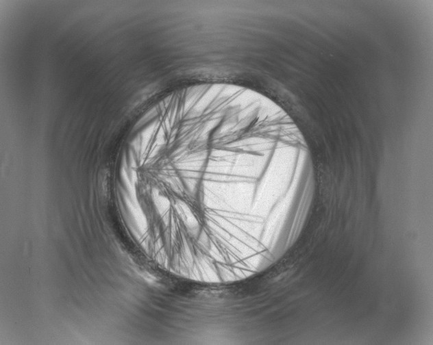 X0000077980071200611251356