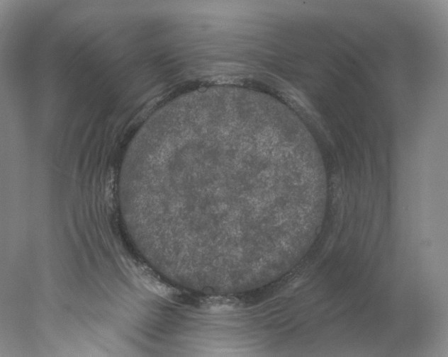 X0000077980073200611251356