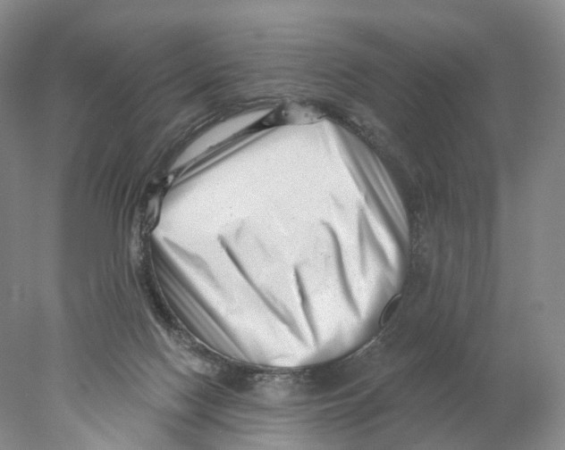 X0000077980074200611251356