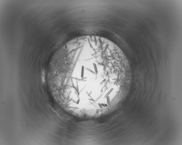 X0000077980075200611251356