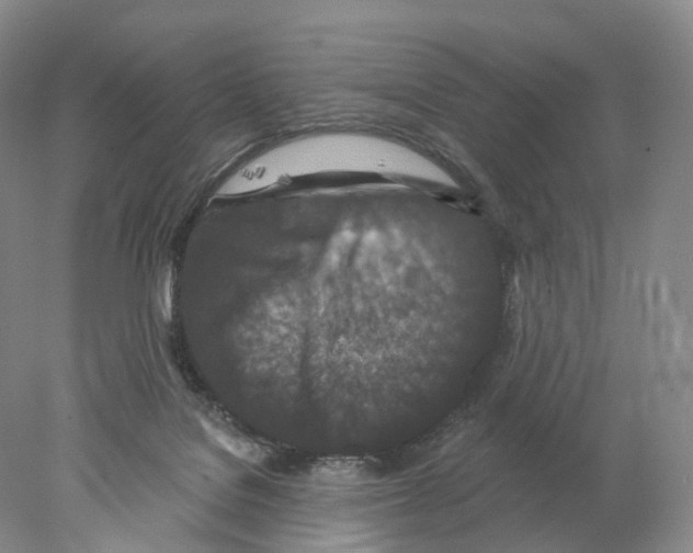 X0000077980076200611251356