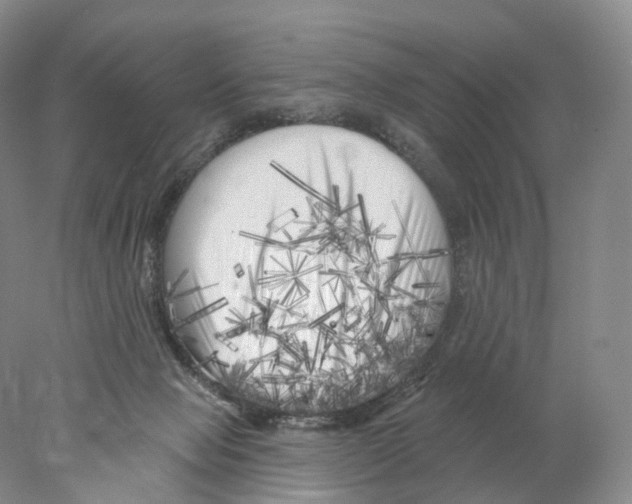 X0000077980077200611251356