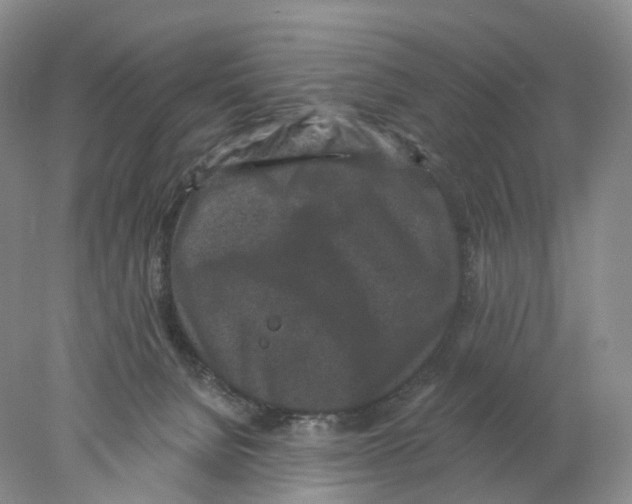 X0000077980080200611251356