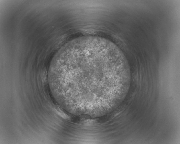 X0000077980081200611251356