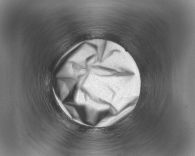 X0000077980082200611251356