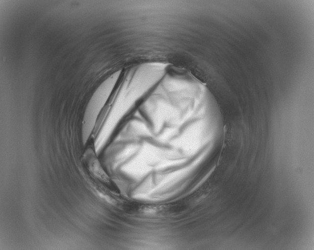 X0000077980084200611251356