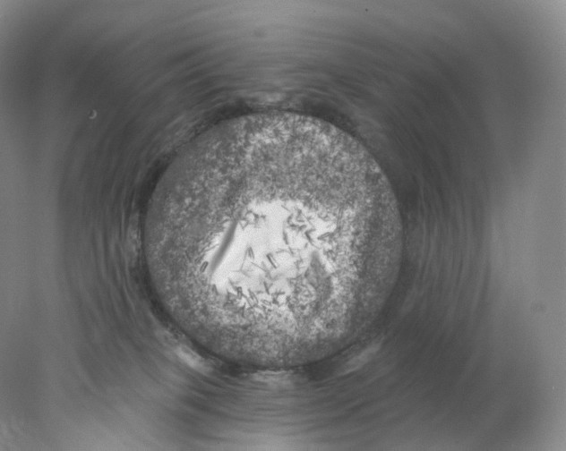 X0000077980085200611251356