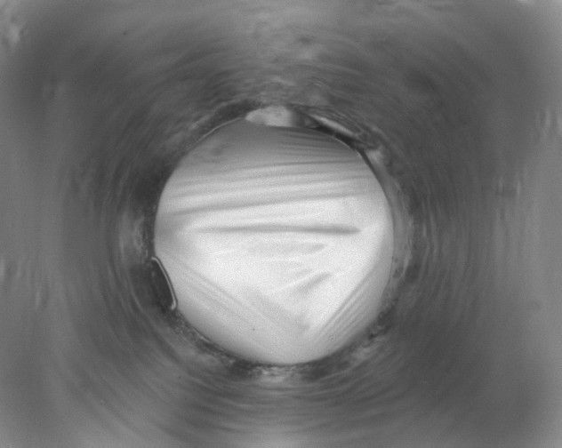 X0000077980088200611251356