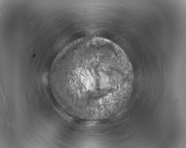 X0000077980090200611251356