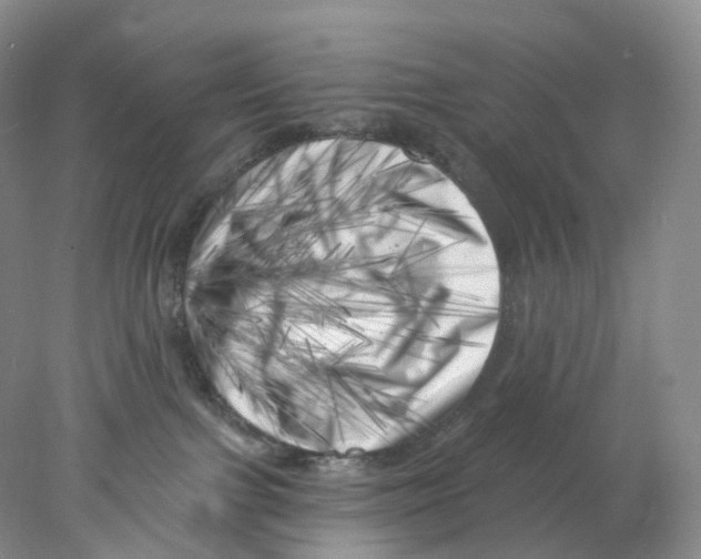 X0000077980091200611251356