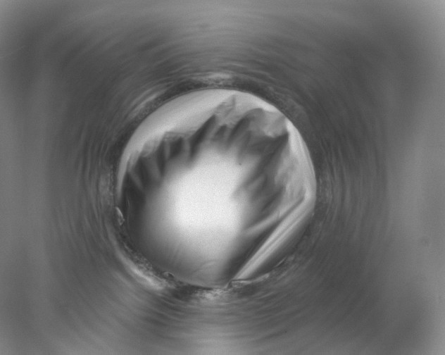 X0000077980092200611251356