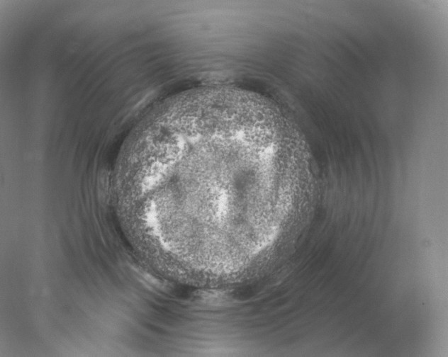 X0000077980093200611251356