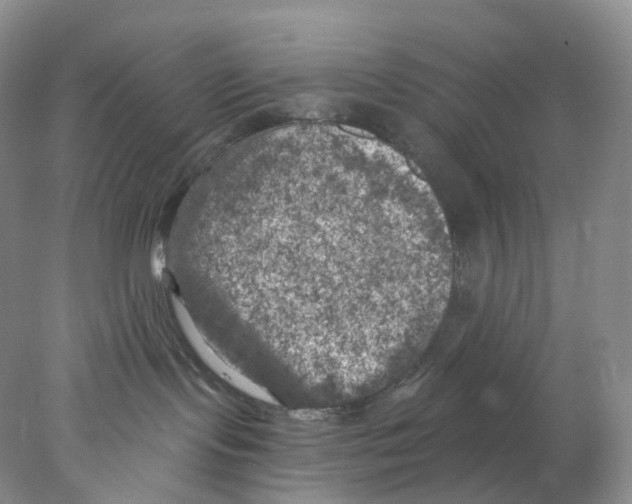 X0000077980095200611251356