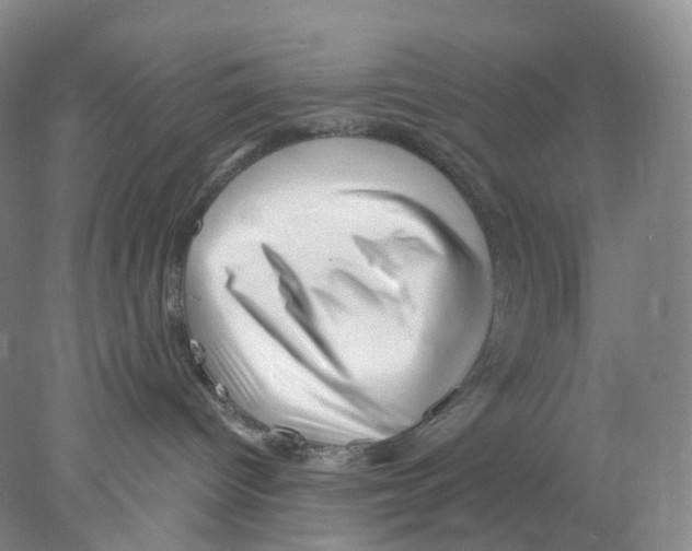 X0000077980096200611251356