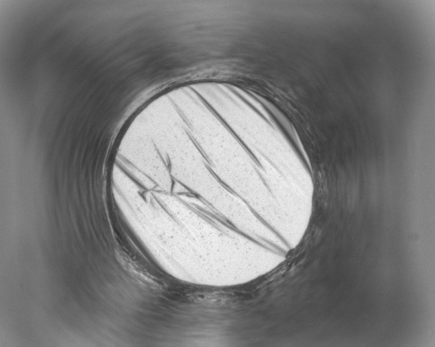 X0000077980100200611251356