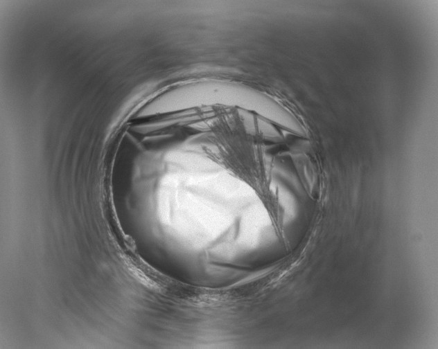 X0000077980101200611251356