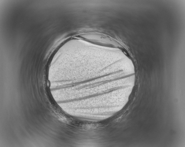 X0000077980103200611251356