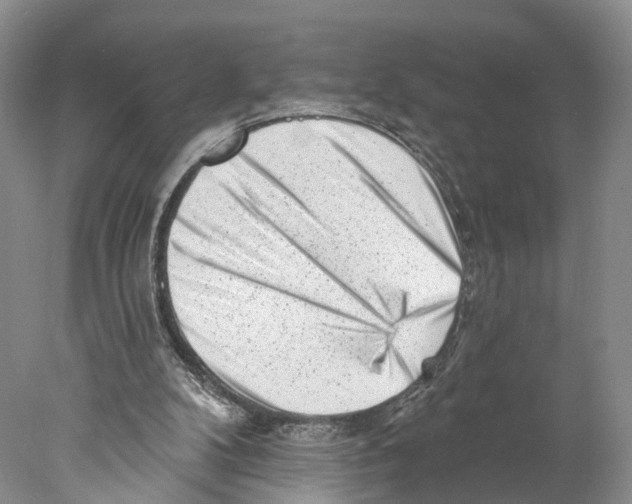 X0000077980104200611251356