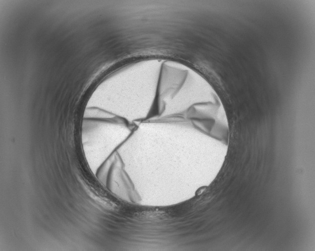 X0000077980108200611251356