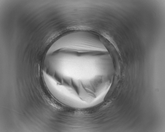 X0000077980109200611251355