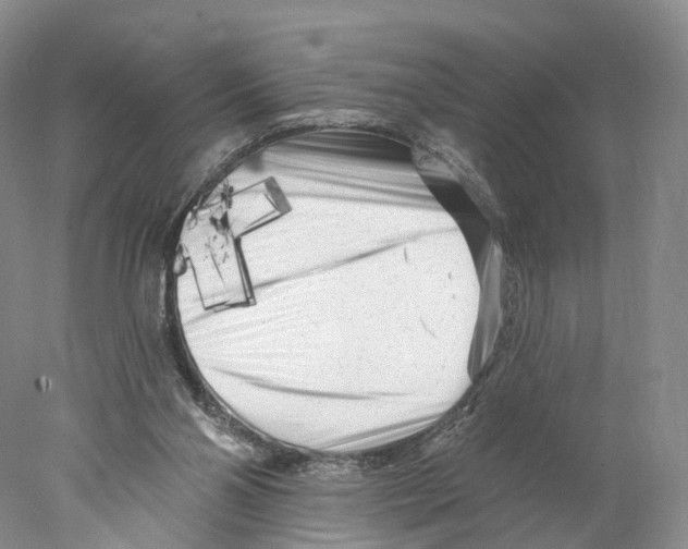 X0000077980110200611251355