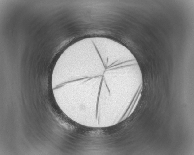 X0000077980112200611251355