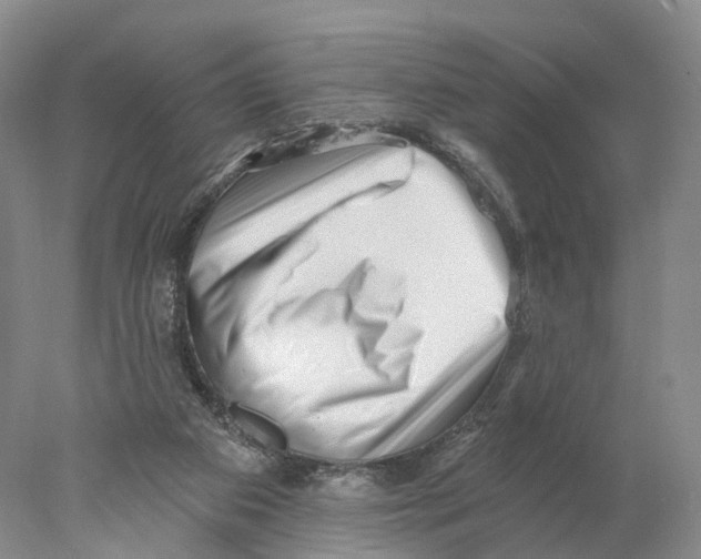 X0000077980113200611251355