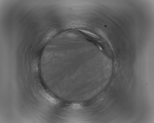 X0000077980114200611251355