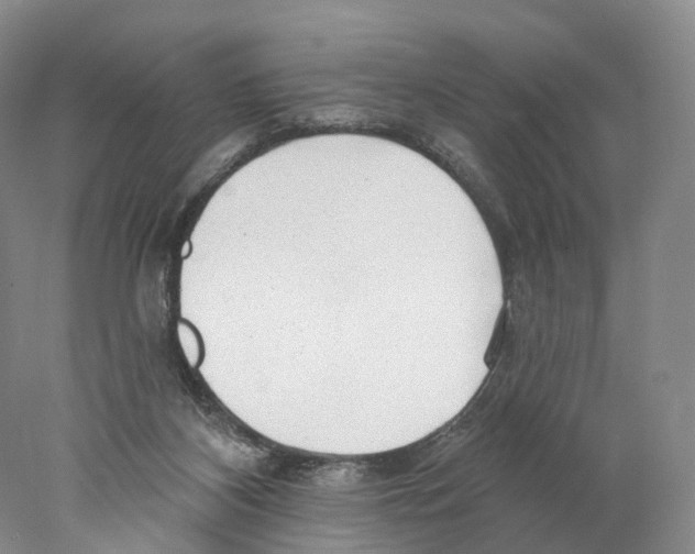 X0000077980116200611251355