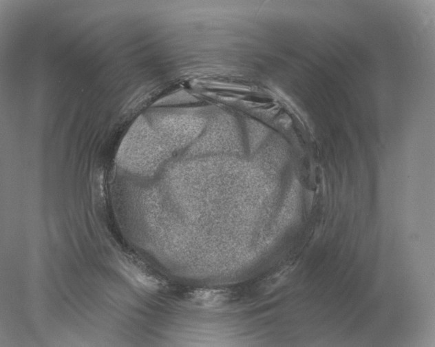 X0000077980117200611251355