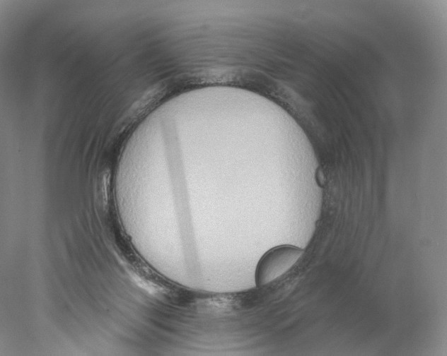 X0000077980118200611251355