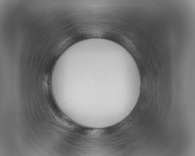 X0000077980122200611251355