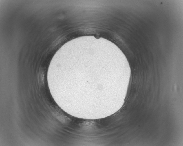 X0000077980124200611251355