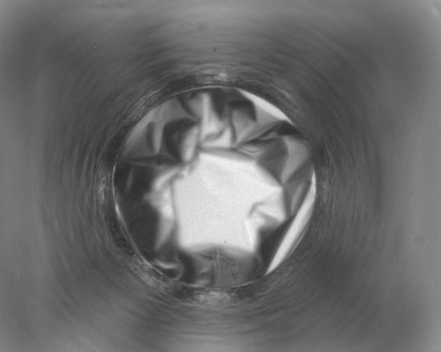 X0000077980125200611251355