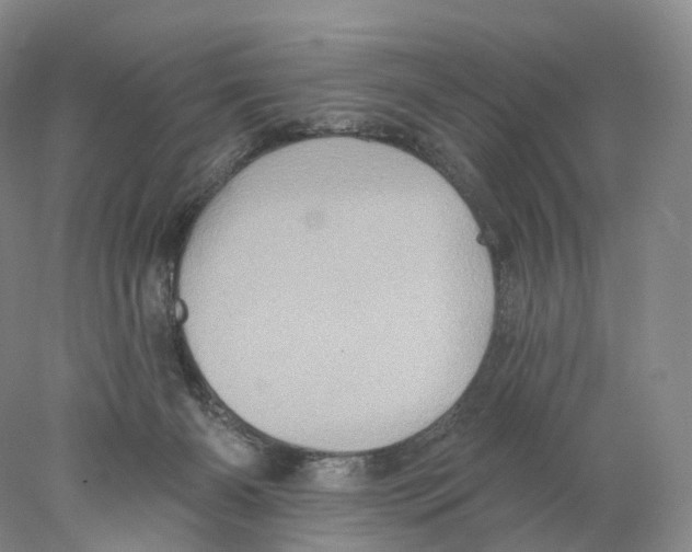 X0000077980126200611251355