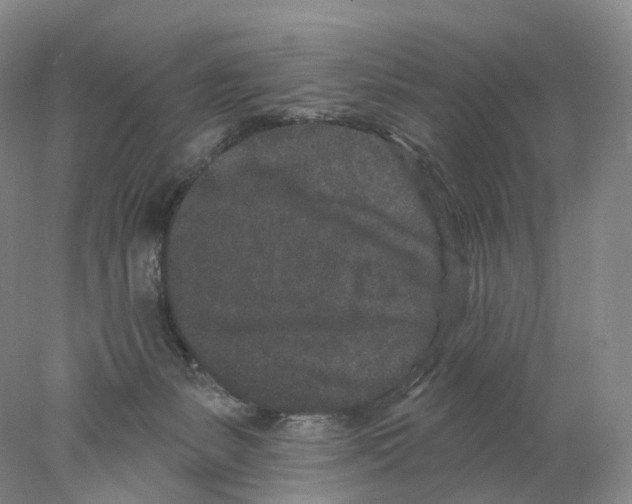 X0000077980127200611251355