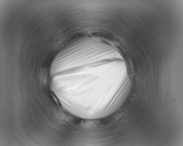 X0000077980129200611251355