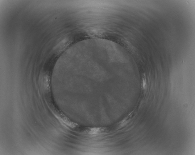 X0000077980130200611251355