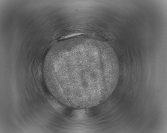 X0000077980131200611251355