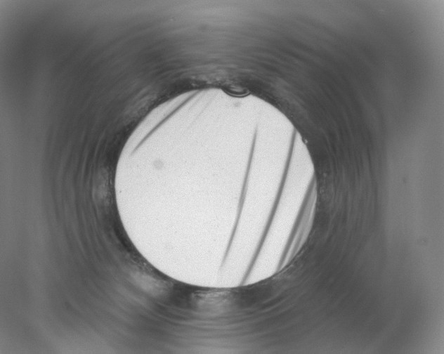 X0000077980132200611251355