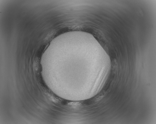 X0000077980133200611251355