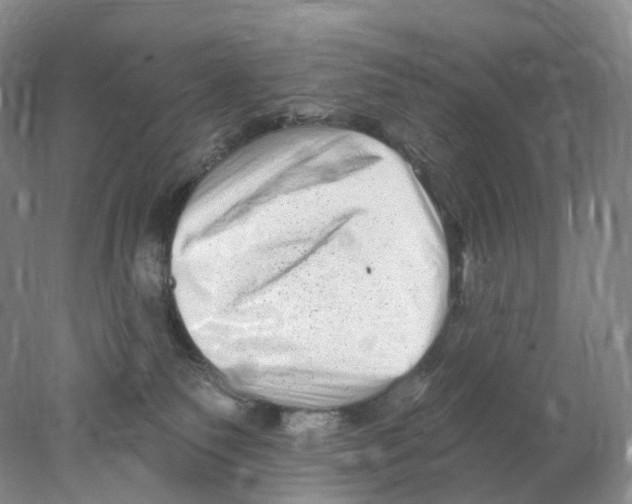 X0000077980135200611251355