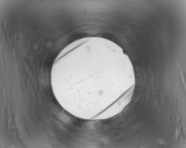 X0000077980136200611251355